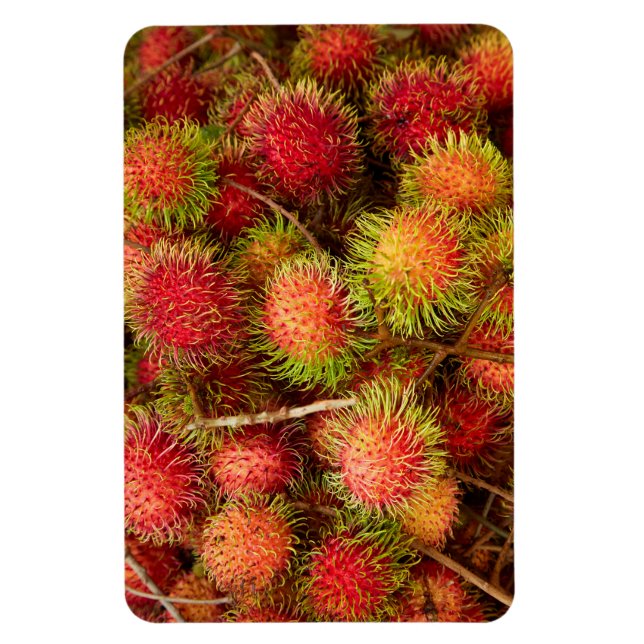 Ímã Fruta de Rambutã no Mercado de Can Duoc (Vertical)