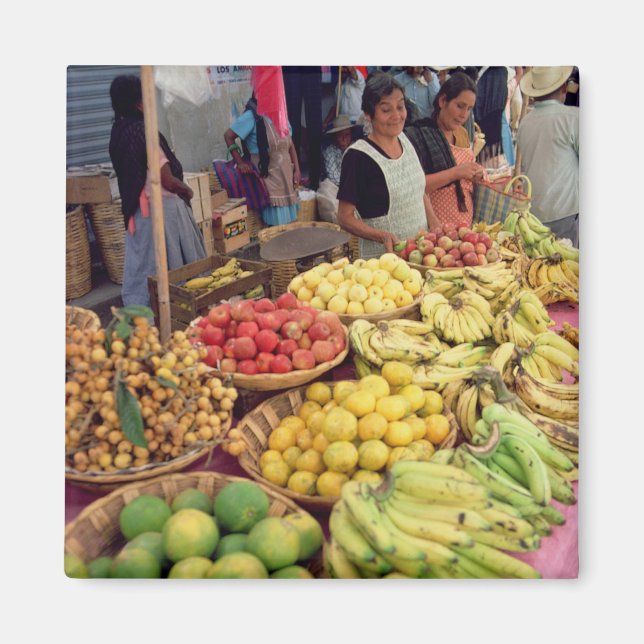 Imã Fruta e estábulo vegetal (Frente)