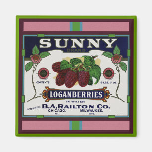 Imã Fruta ensolarada do loganberry