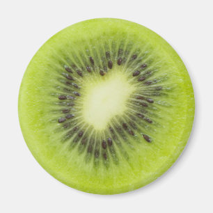 Imã Fruta fresca de kiwi. Fechamento de fatias redonda