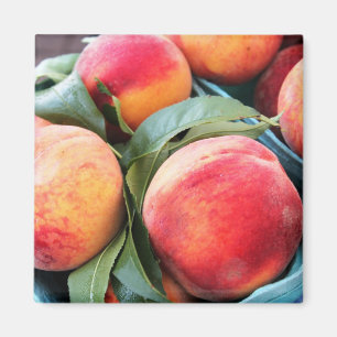 Imã Fruta fresca - ímã dos pêssegos