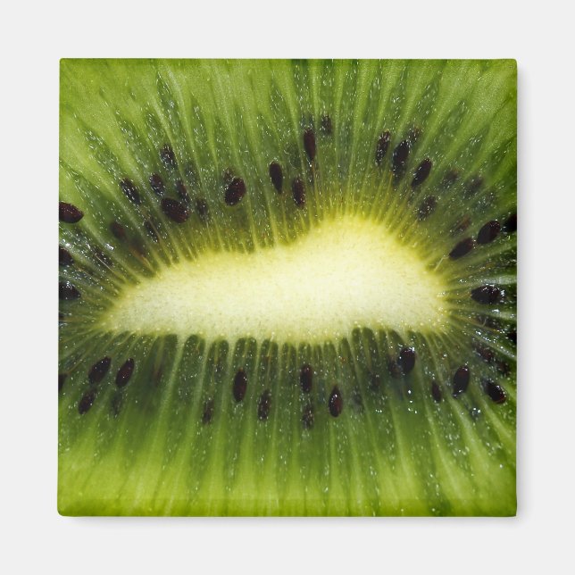 Imã Fruta Kiwi (Frente)