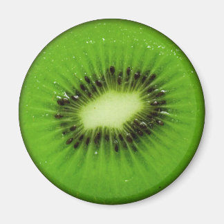 Imã Fruta Kiwi Fatia Fresca