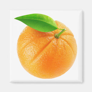 Imã Fruta laranja