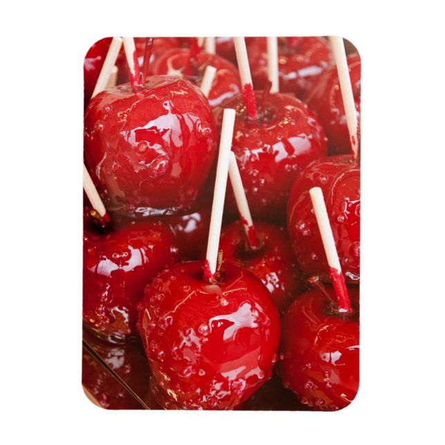 Ímã Fruta revestida de doce na Cerveja Estugarda Festi (Vertical)