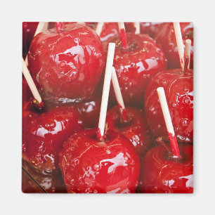 Imã fruta revestida de doce na cerveja Stuttgart Festi