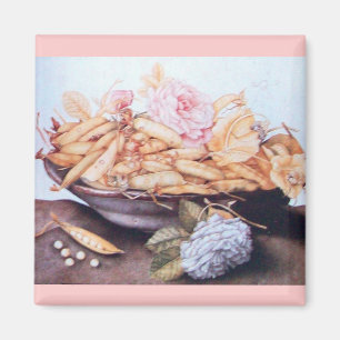 IMÃ FRUTAS 6 DA SEASON - FEIJÕES E ROSAS