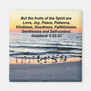 IMÃ FRUTAS BONITO DE 5 MAGNET ESPIRITUOSOS GALÁCIOS