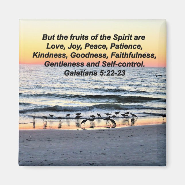 Imã FRUTAS bonito DOS ESPÍRITOS GALÁCIOS 5 MAGNET (Frente)