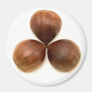 Imã Frutas de castanha doce