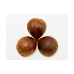 Ímã Frutas de castanha doce