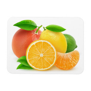 Ímã Frutas de Citrus