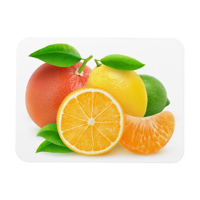 Ímã Frutas de Citrus (Horizontal)