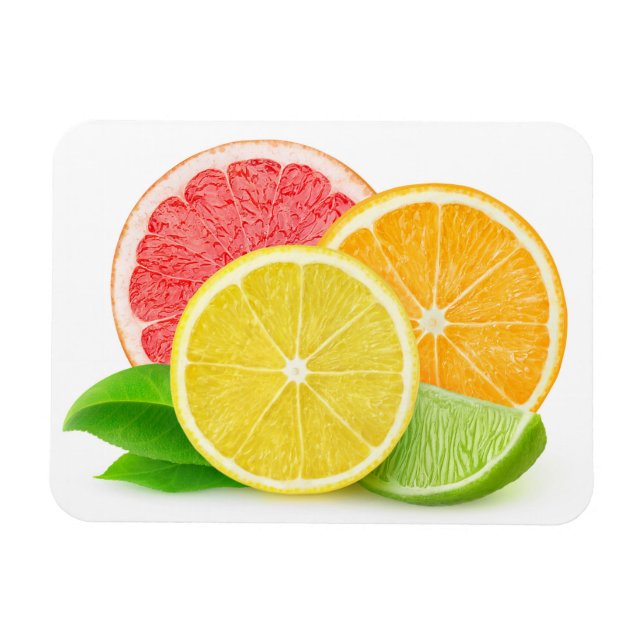 Ímã Frutas de Citrus (Horizontal)