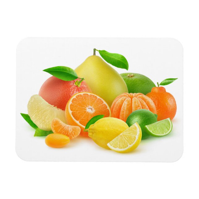 Ímã Frutas de Citrus (Horizontal)