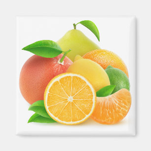 Imã Frutas de Citrus