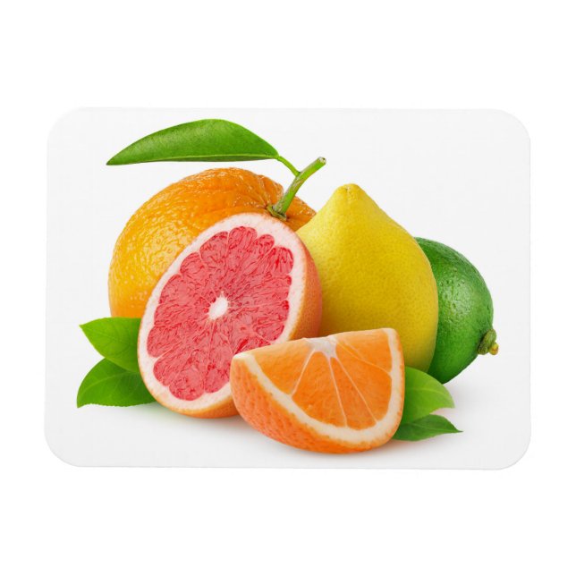 Ímã Frutas de Citrus (Horizontal)