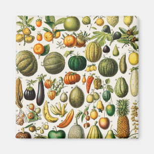Imã Frutas e produtos hortícolas