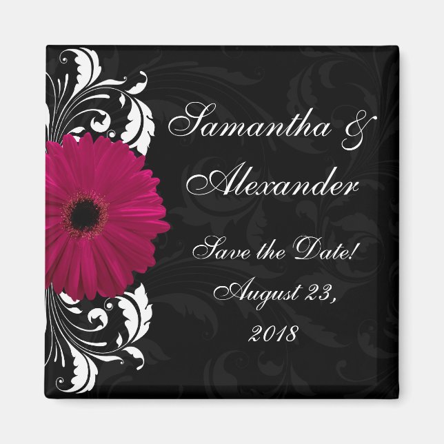 Imã Fuchsia Scroll Gerbera Daisy w/Black and White (Frente)