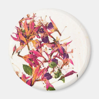 IMÃ FUCHSIAS I
