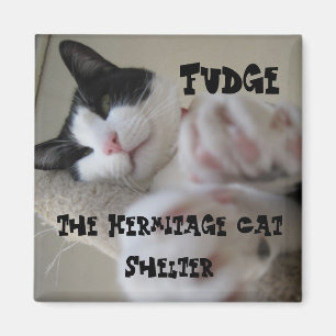 Imã Fudge do ímã do eremitério