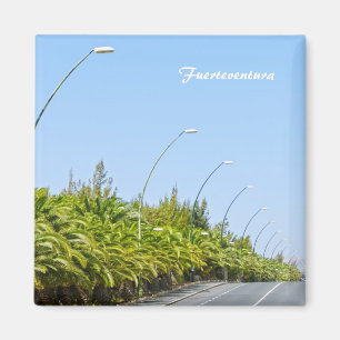 Imã Fuerteventura Magnet