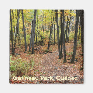 Imã Fuga de caminhada no outono, parque de Gatineau,