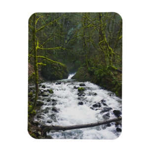 Ímã Fuga de Queda de Véu Bridal, OU