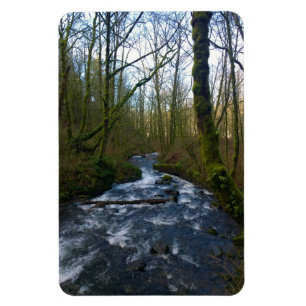 Ímã Fuga de Queda de Véu Bridal, OU