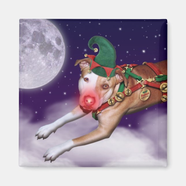 Imã Funcionário do papai noel do Mês (Frente)