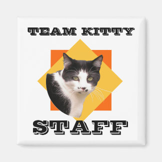 Imã Funcionarios do Gatinho de Equipe