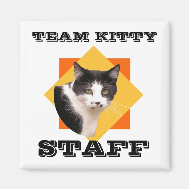 Imã Funcionarios do Gatinho de Equipe (Frente)