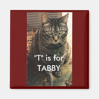 Imã Fundo Tabby Cat Magnet Maroon
