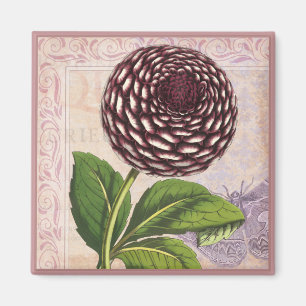 Imã Fundo Vintage Dahlia Botânica Collage Damask