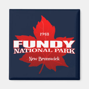 Imã Fundy NP (folha de bordo)