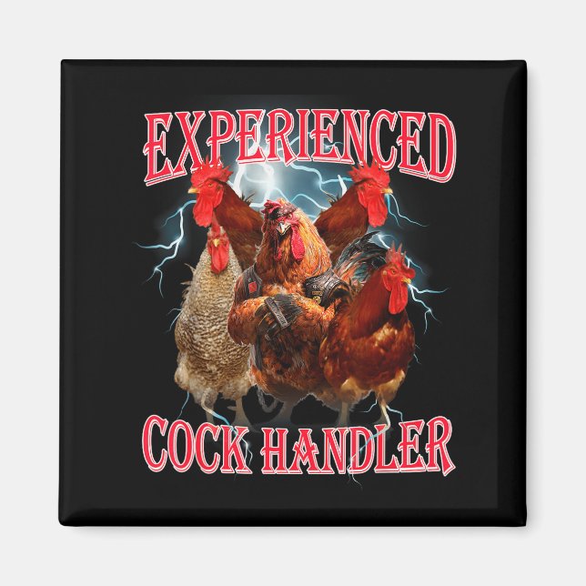 Imã Funny Adult Humor Experienced Handler Inappropriat (Frente)