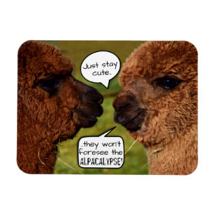 Ímã Funny Alpaca Alpacalypse Scheming