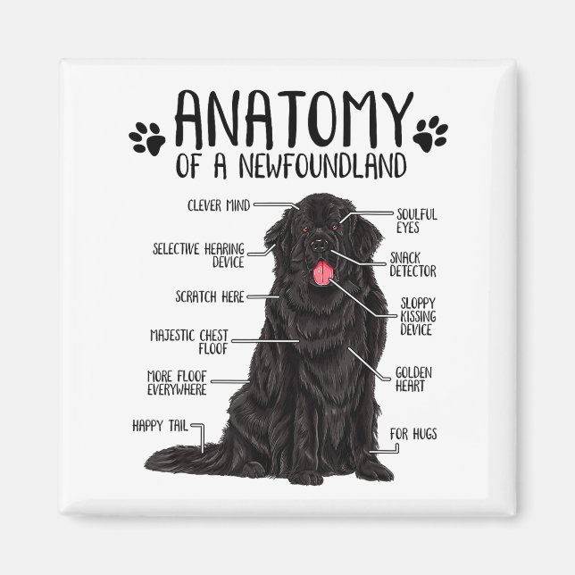 Imã Funny Anatomy Newfoundland Dog Cute Newfie Lover  (Frente)