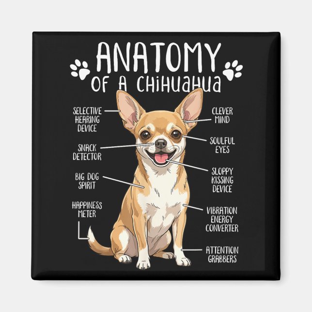Imã Funny Chihuahua Anatomy Of A Chihuahua Dog Owner P (Frente)
