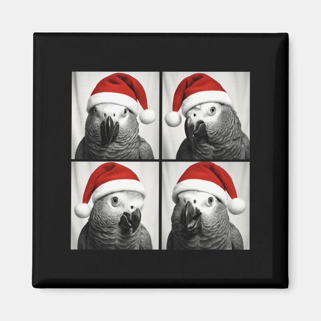 Imã Funny Christmas African G Parrot Santa Photo Booth (Frente)