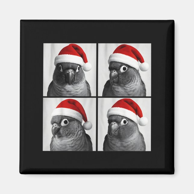Imã Funny Christmas Green Cheek Conure Santa Photo Boo (Frente)