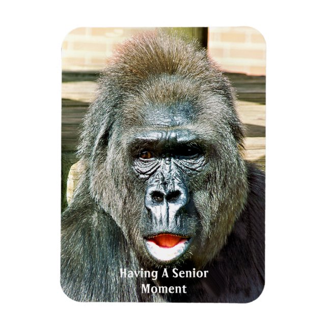 ÍMÃ FUNNY CUTE GORILLA (Vertical)