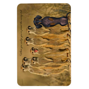 Ímã Funny Dachshund Meerkat Magnet