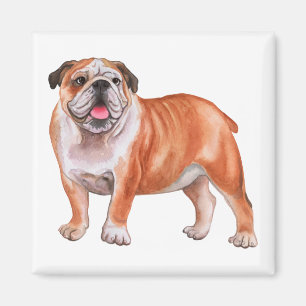 Imã Funny English Bulldog Love Watercolor Puppy Dog