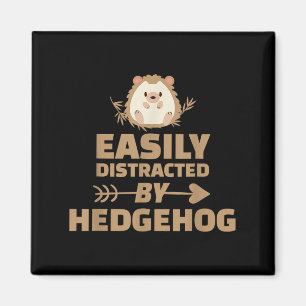 Imã Funny Facilmente Distridida Por Hedgehog Pet Anima