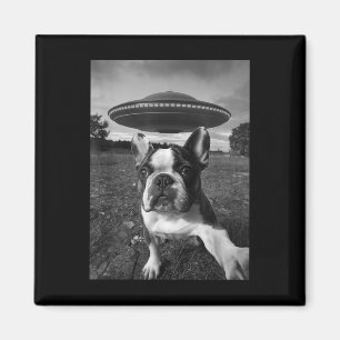 Imã Funny French Bulldog Selfie