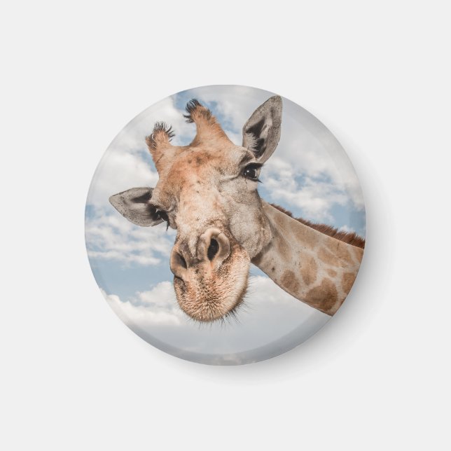 Imã Funny Giraffe (Frente)