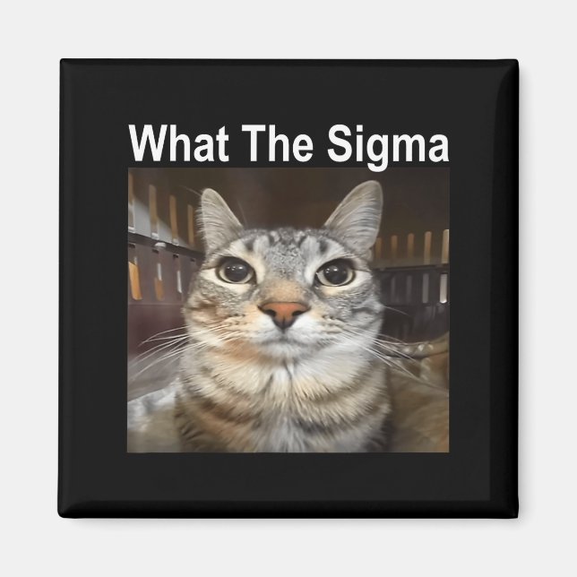 Imã Funny Meme Cat What The Sigma Cute Cat Meme Quote  (Frente)