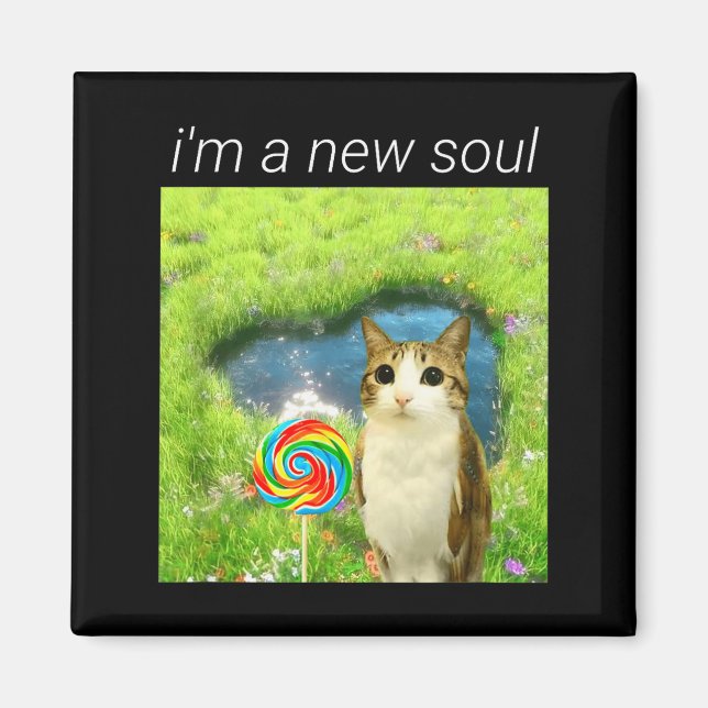 Imã Funny Meowl Meme, Cat Owl Meme Brainrot Gen Alpha  (Frente)