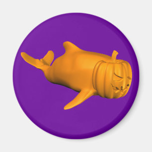 Imã Funny Orcinus orca